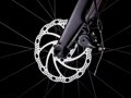 TREK Bici Trek Domane AL 2 Gen 4 2025 bordeaux
