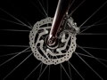 TREK Bici Trek FX Sport 5 Carbon bordeaux
