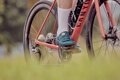 SHIMANO Scarpe SHRC502 donna blu 