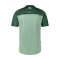 SHIMANO Maglia FUJIMI verde 