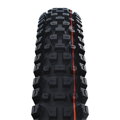 SCHWALBE Copertone ALBERT GRAVITY PRO (63-622) 29x2.50 Evolution 67EPI Radial 1330g Nero TLR Soft 