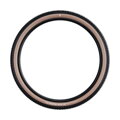 SCHWALBE Copertone RICK XC PRO (62-622) 29x2.40 Evolution 67EPI 760g Transparent TLR Speed 
