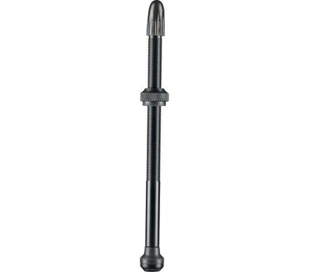 Coppia valvole tubeless SCHWALBE da 100mm
