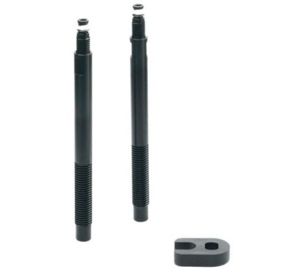 Coppia prolunghe valvola tubeless SCHWALBE da 65 mm