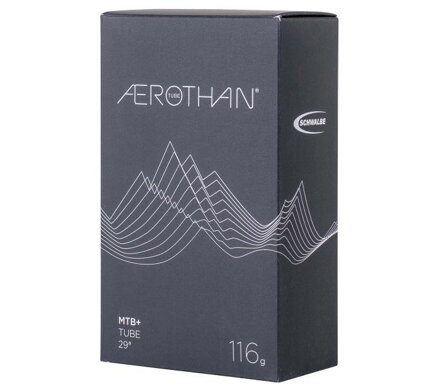Camera d'aria SCHWALBE SV19FE (62/75-622) 40mm 116g