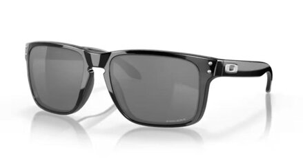 Occhiali Oakley Holbrook XL nero Nero lucido/Prizm