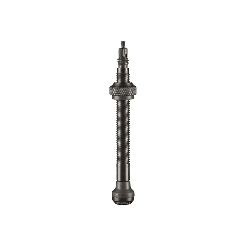 Coppia valvole tubeless SCHWALBE da 60mm