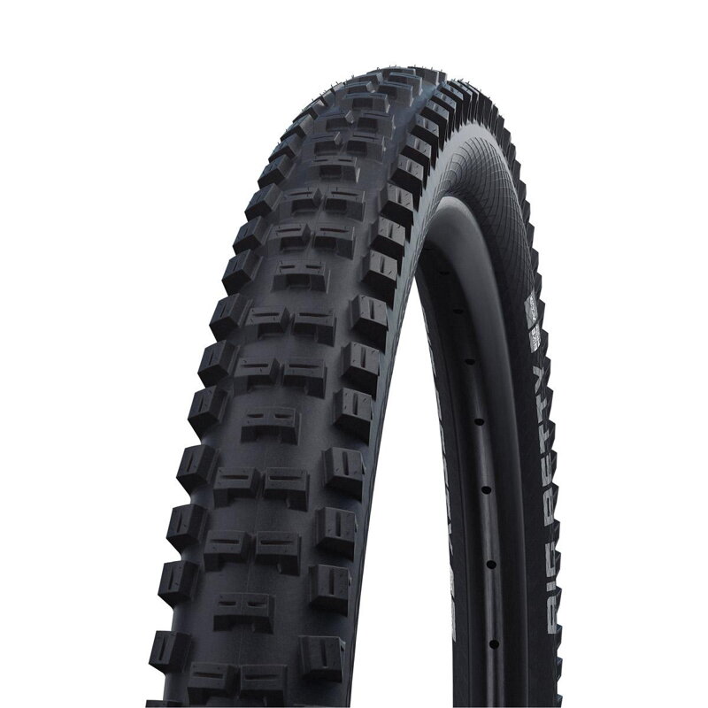 SCHWALBE Pneumatico BIG BETTY (62-559) 26x2.40 Performance 2x50EPI 1350g Nero